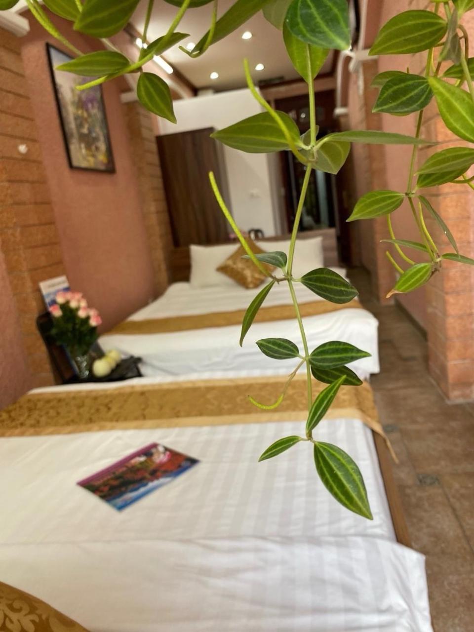 Quynh Moon Homestay هانوي المظهر الخارجي الصورة